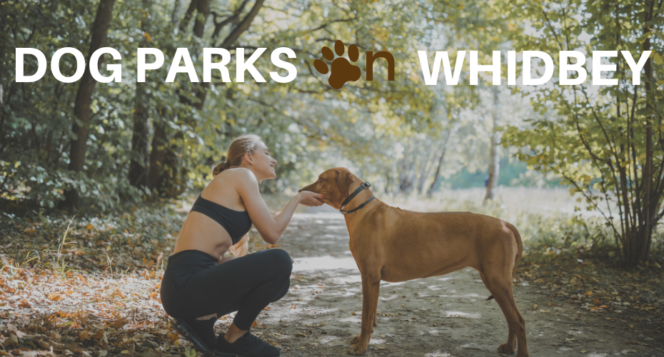 Dog Parks on Whidbey